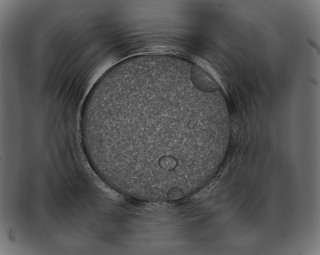 X0000092251091200710121254