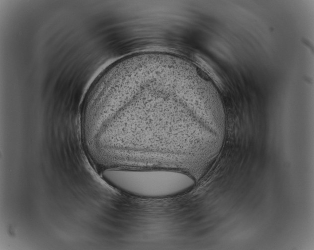 X0000092251092200710121254