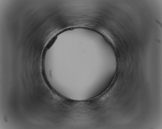X0000092251093200710121254
