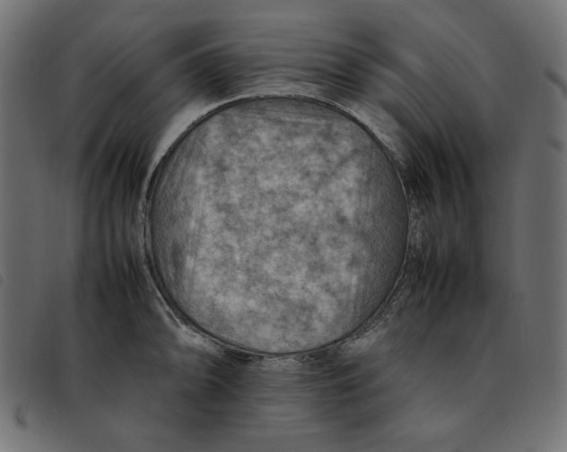 X0000092251094200710121254