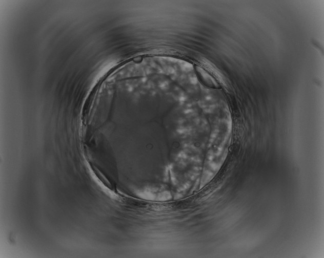 X0000092251095200710121254