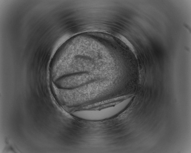 X0000092251096200710121254