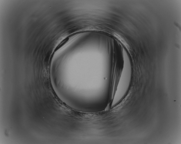 X0000092251097200710121254