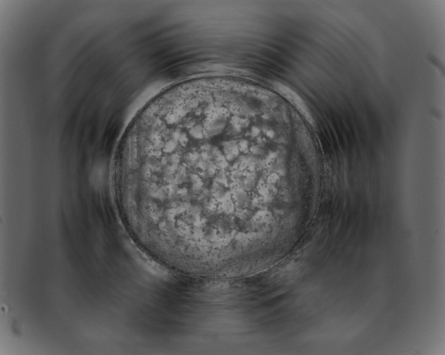 X0000092251098200710121254