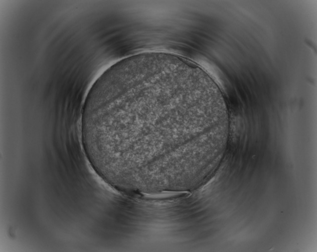 X0000092251100200710121254