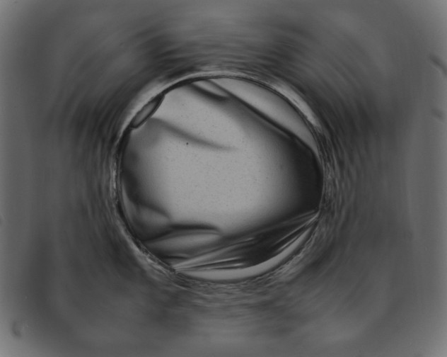 X0000092251101200710121254