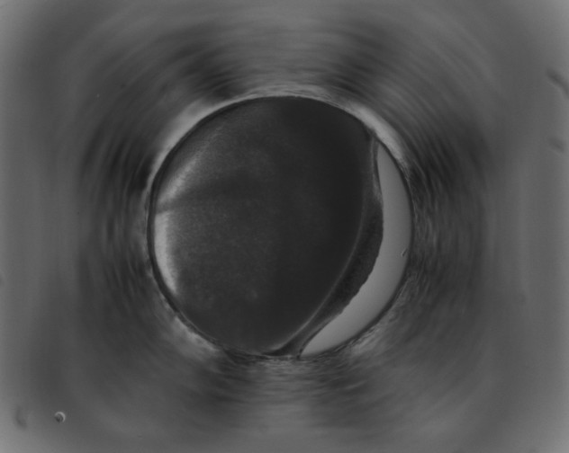 X0000092251102200710121254