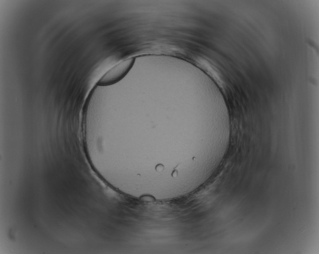 X0000092251103200710121254
