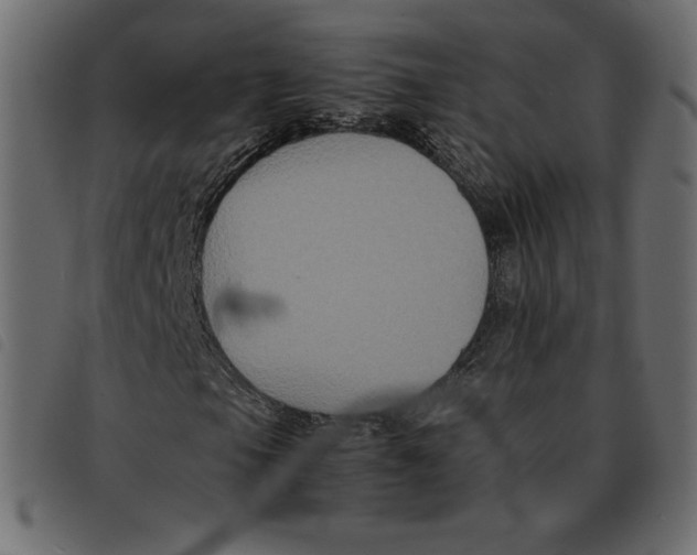 X0000092251105200710121253