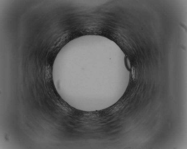 X0000092251107200710121253