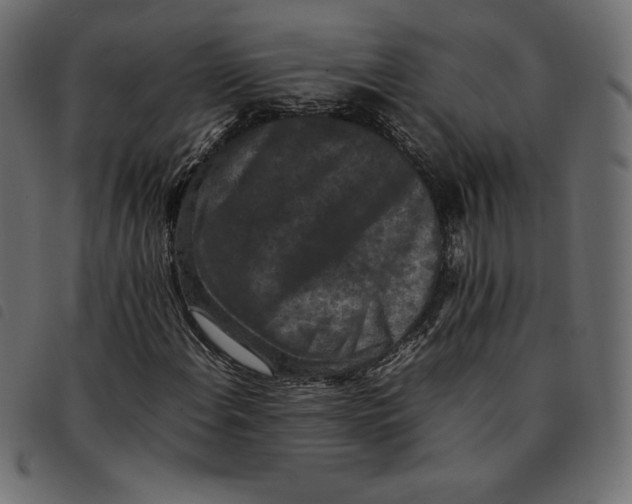 X0000092251108200710121253