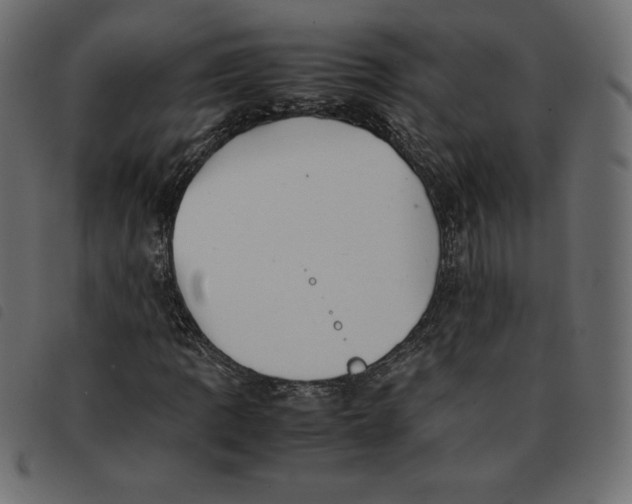 X0000092251109200710121253