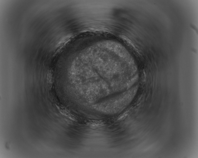 X0000092251110200710121253