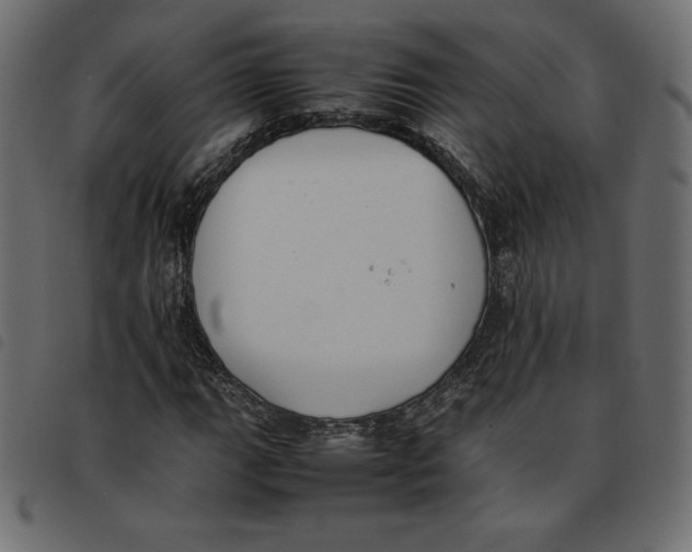 X0000092251111200710121253