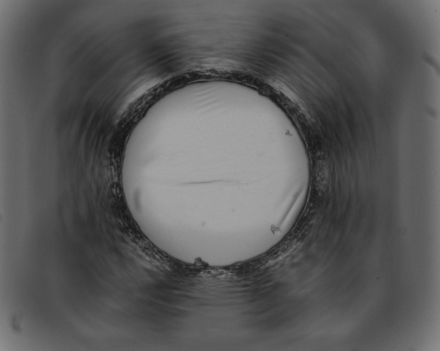 X0000092251112200710121253