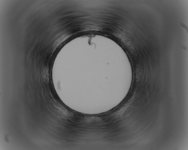 X0000092251113200710121253