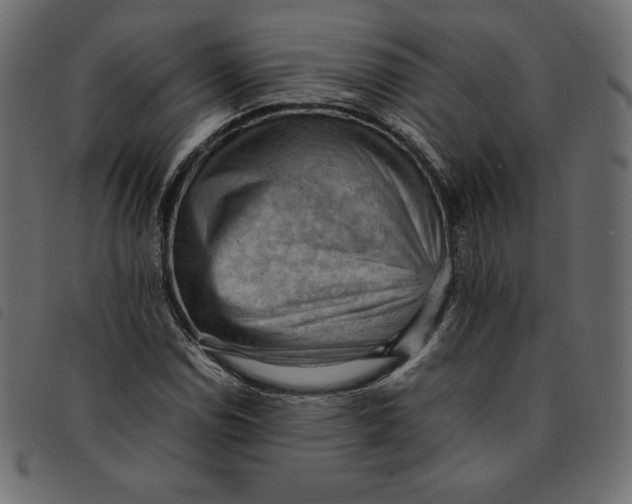 X0000092251114200710121253