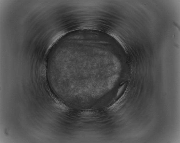 X0000092251115200710121253