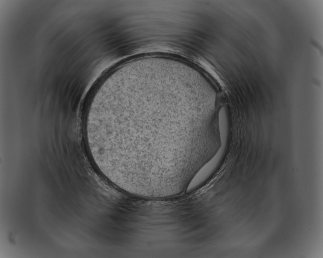 X0000092251116200710121253