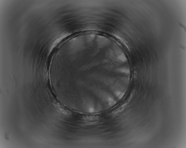 X0000092251117200710121253