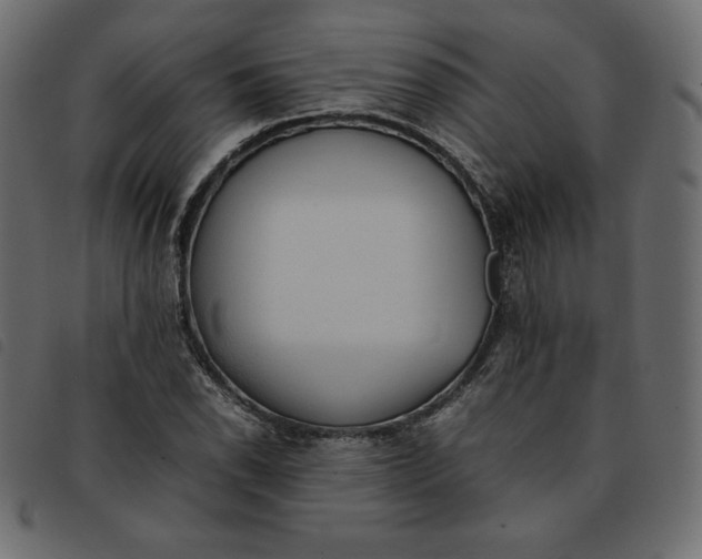 X0000092251118200710121253