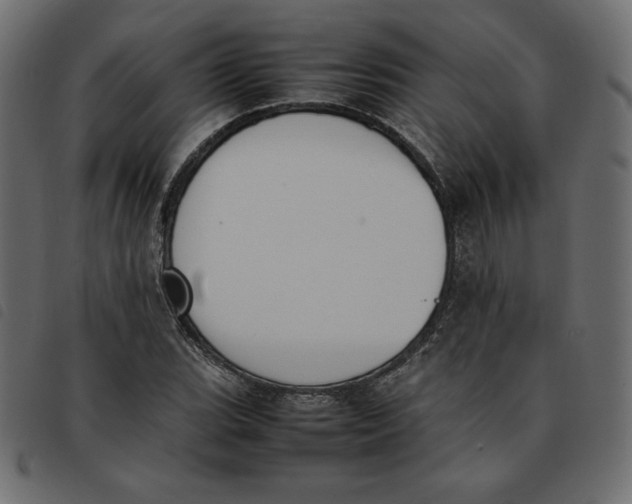 X0000092251119200710121253