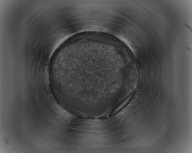 X0000092251120200710121253