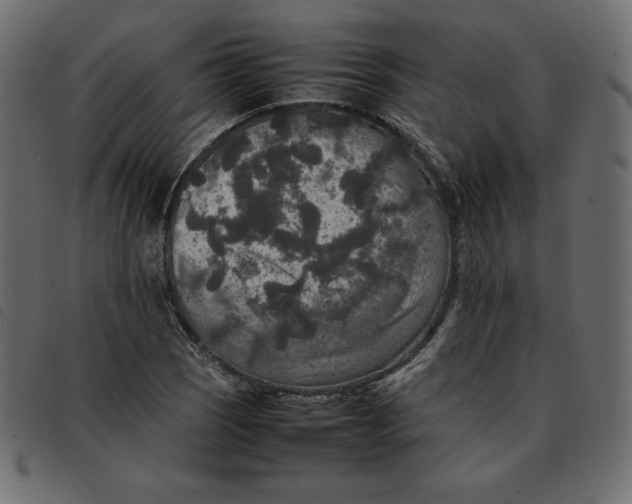 X0000092251121200710121253
