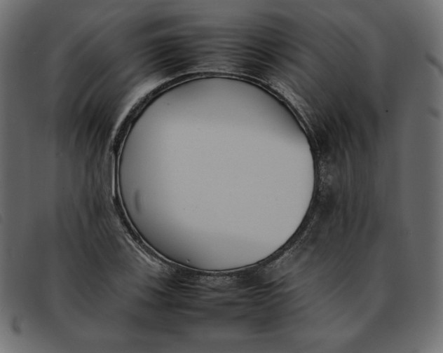 X0000092251123200710121253