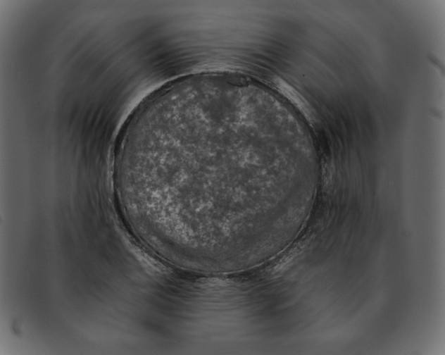 X0000092251124200710121253
