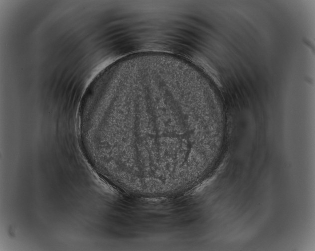 X0000092251125200710121253
