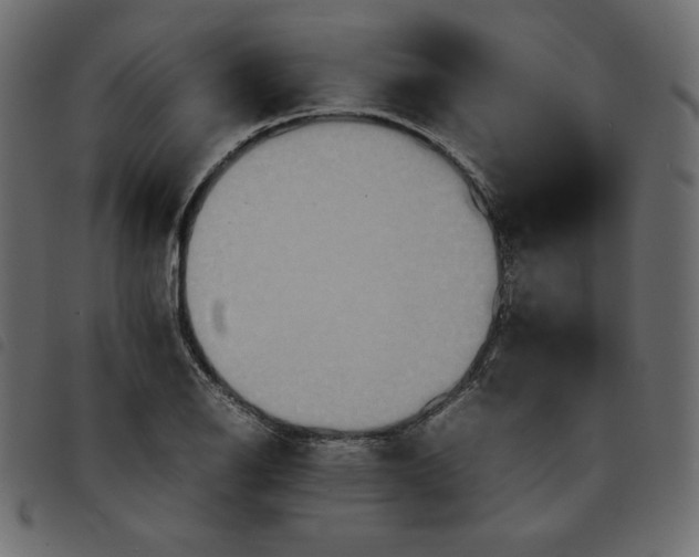 X0000092251126200710121253