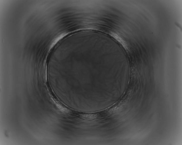 X0000092251127200710121253