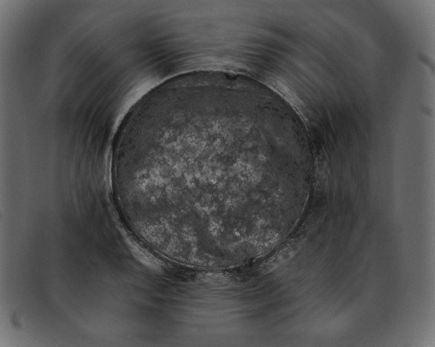 X0000092251128200710121253