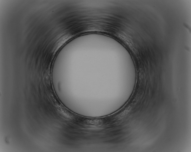 X0000092251129200710121253