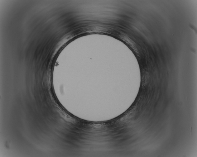 X0000092251130200710121253
