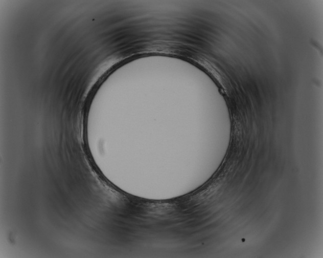 X0000092251131200710121253