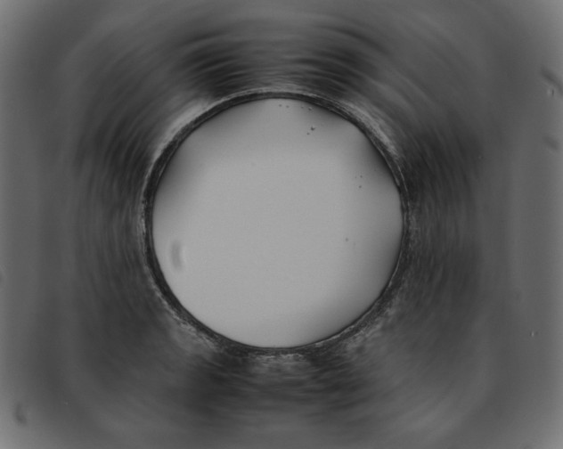 X0000092251133200710121253