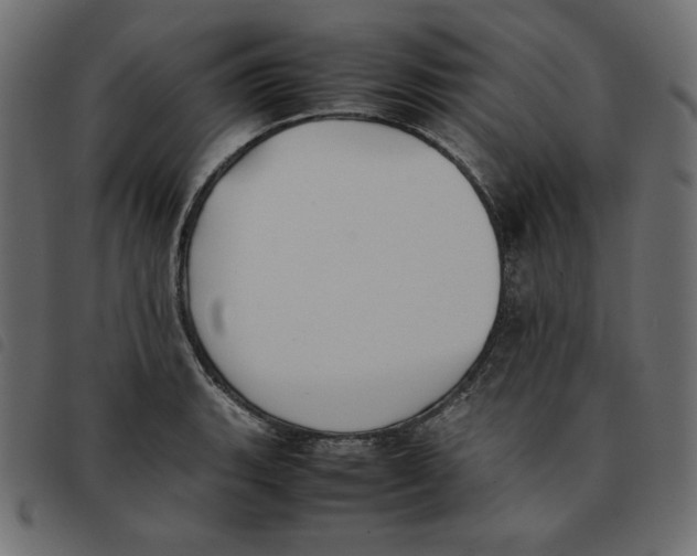 X0000092251135200710121253