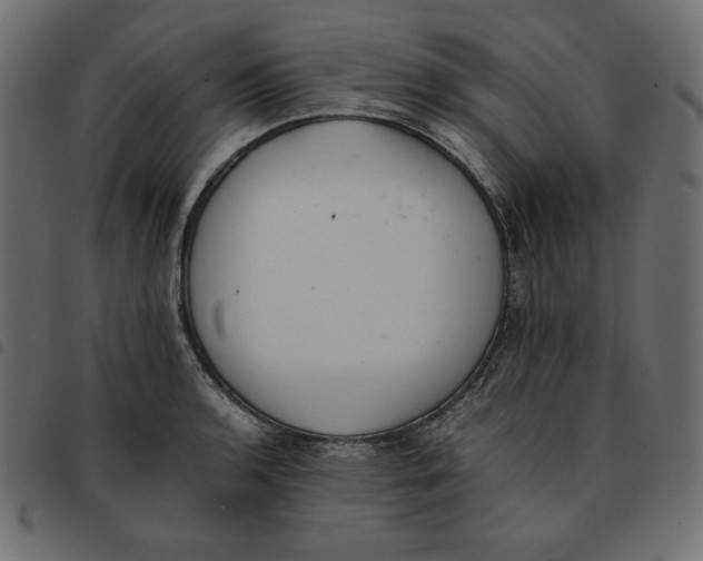 X0000092251136200710121253