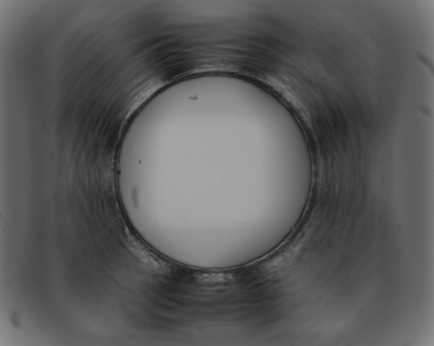 X0000092251137200710121253