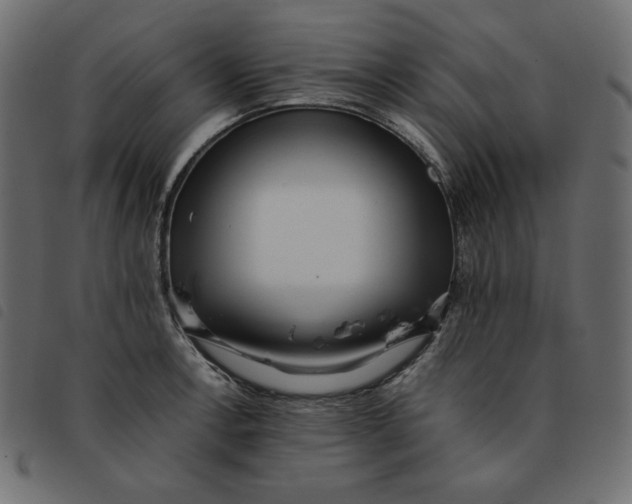 X0000092251138200710121253