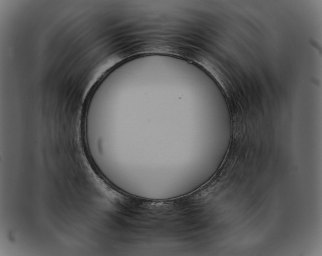 X0000092251139200710121253