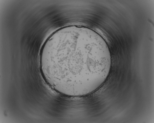 X0000092251140200710121253