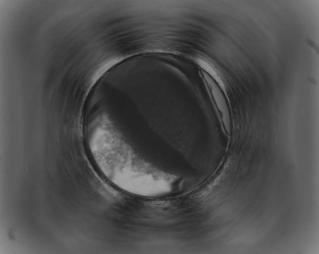 X0000092251141200710121253
