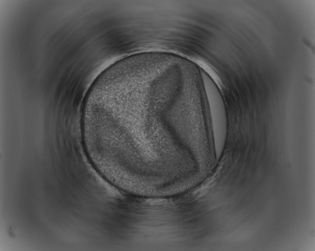 X0000092251142200710121253