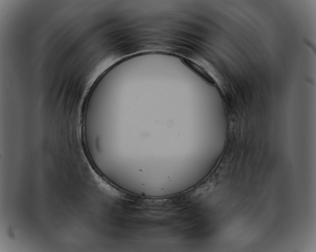 X0000092251143200710121253