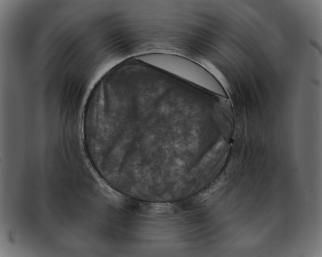 X0000092251144200710121253