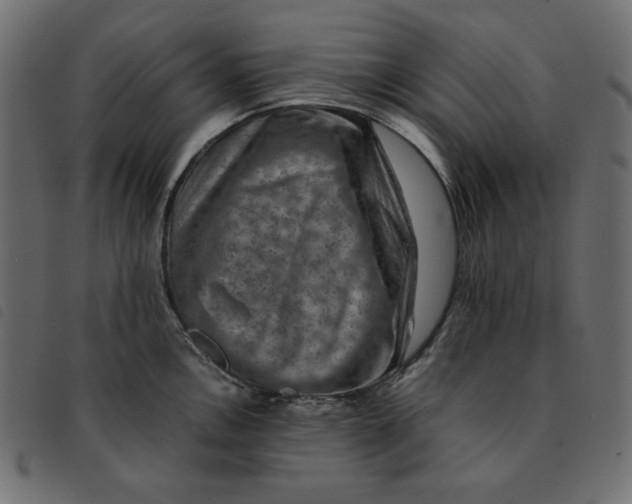 X0000092251146200710121254
