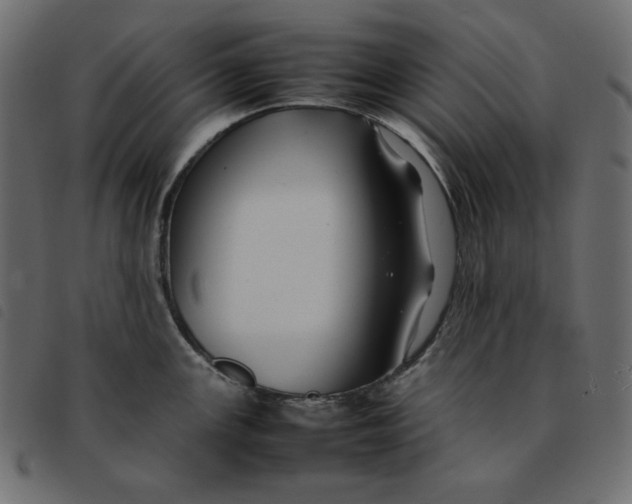 X0000092251147200710121254